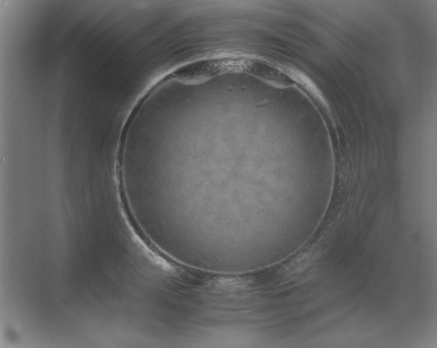 X0000071950847200607071208