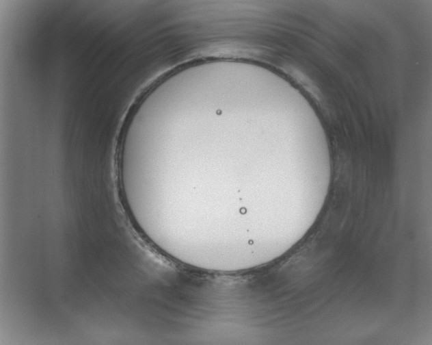 X0000071950848200607071208