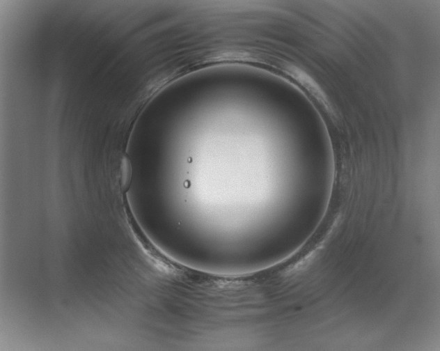 X0000071950849200607071208