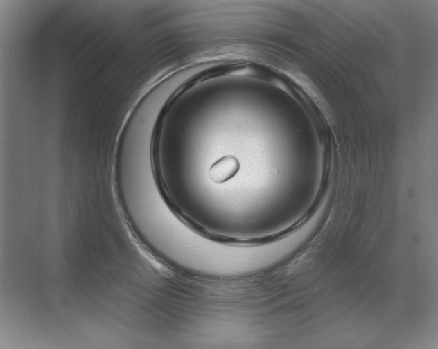 X0000071950850200607071208