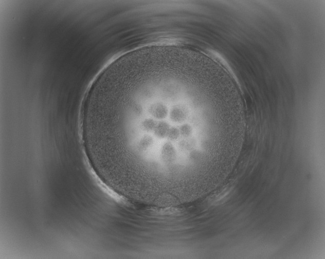 X0000071950851200607071208