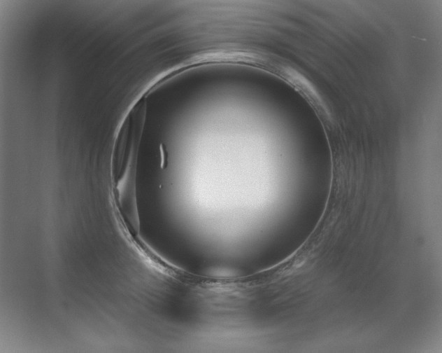 X0000071950852200607071208