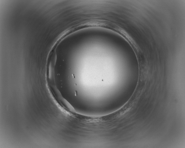 X0000071950853200607071208