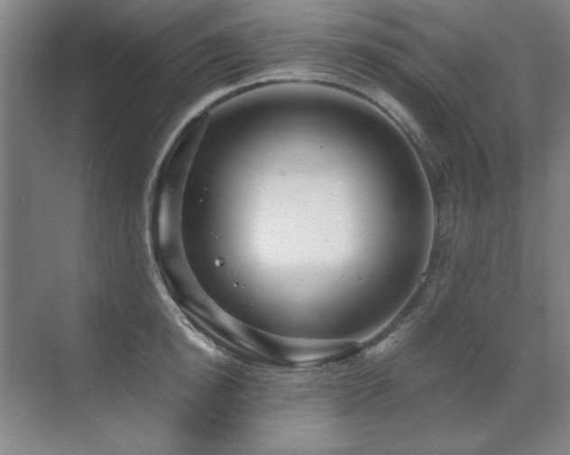 X0000071950854200607071208