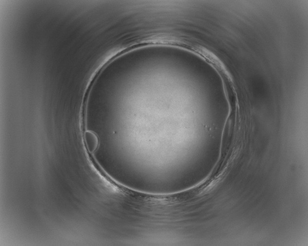 X0000071950855200607071208