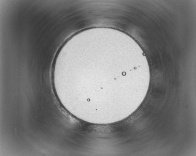 X0000071950856200607071208