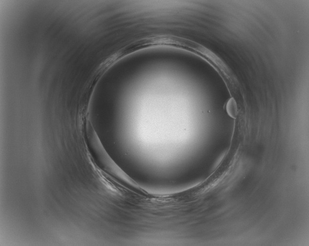 X0000071950857200607071208