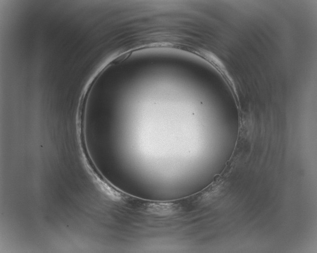 X0000071950859200607071208