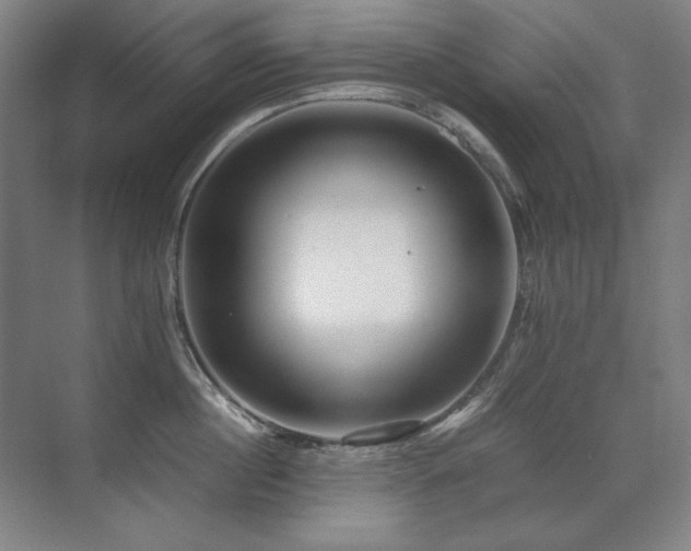 X0000071950860200607071208