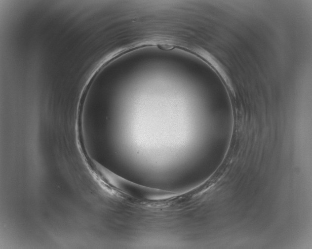 X0000071950861200607071208