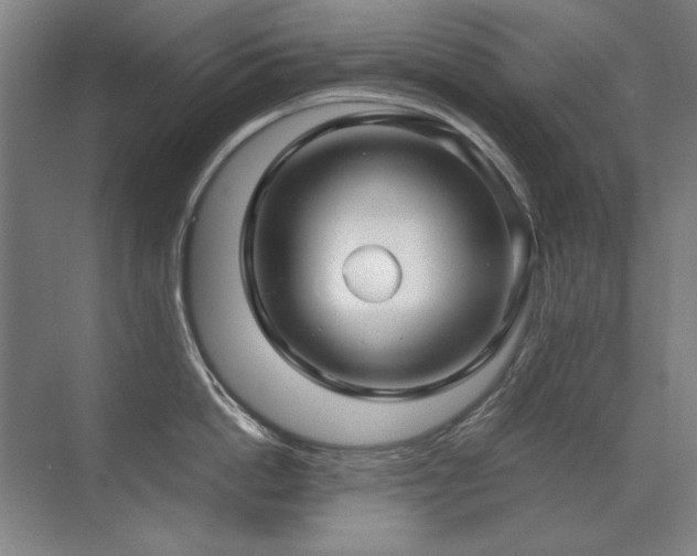 X0000071950862200607071208