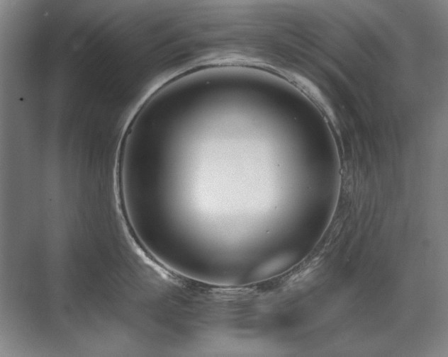 X0000071950863200607071208