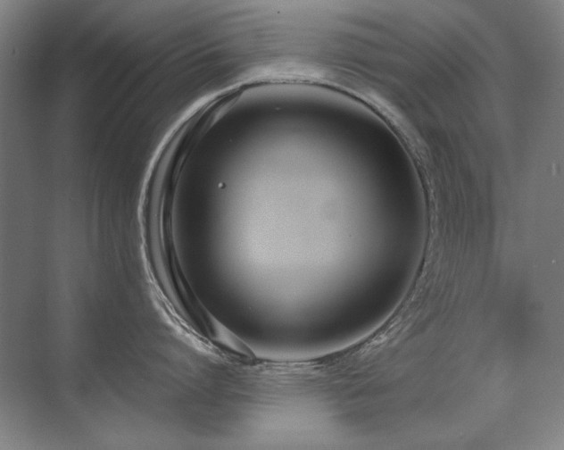 X0000071950864200607071208