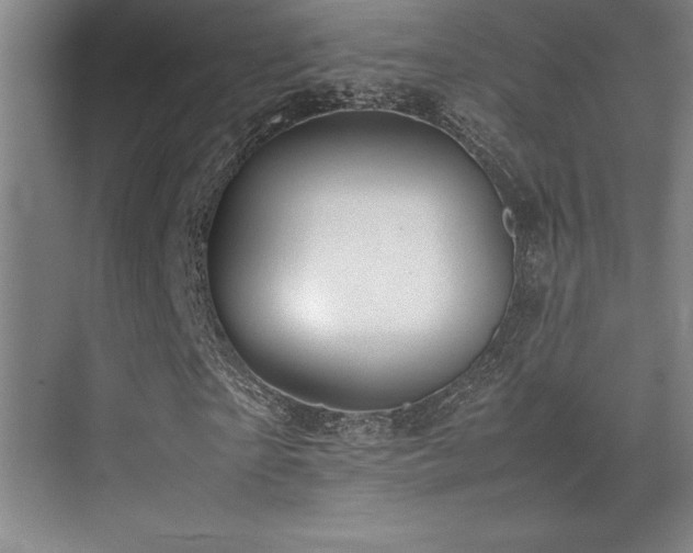 X0000071950865200607071207