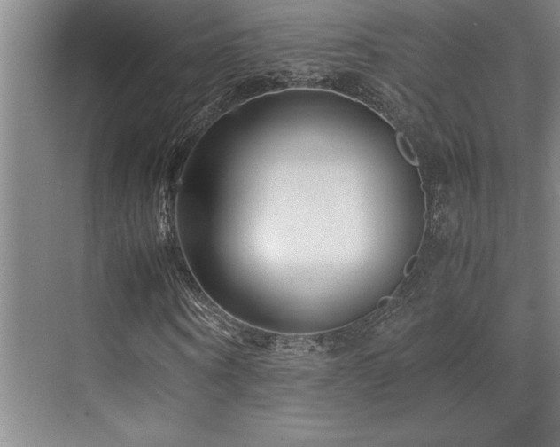 X0000071950866200607071207