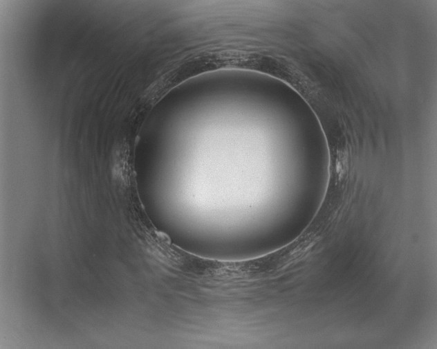 X0000071950867200607071207