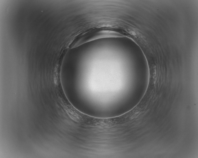 X0000071950868200607071207