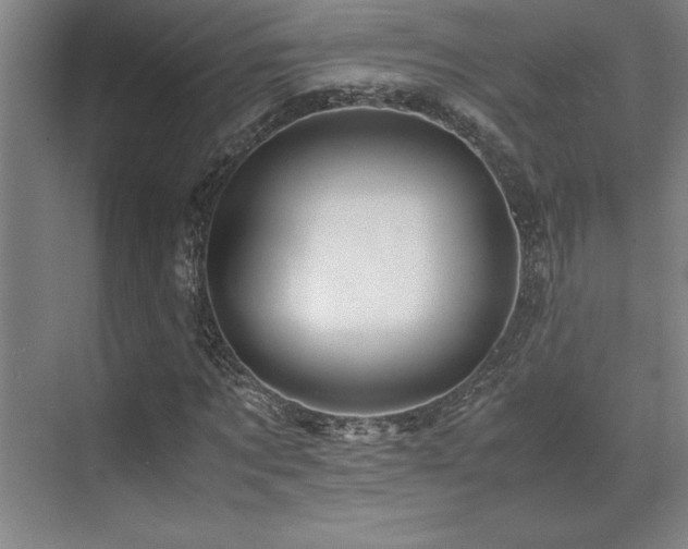 X0000071950869200607071207