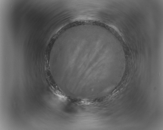 X0000071950871200607071207