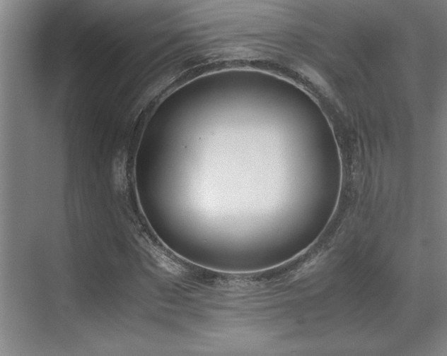 X0000071950873200607071207