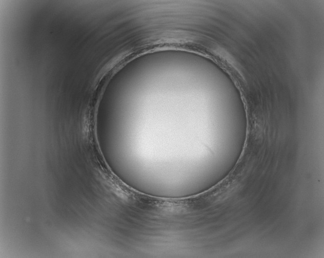 X0000071950874200607071207