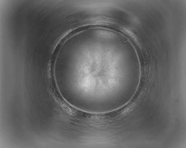 X0000071950875200607071207