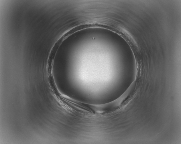 X0000071950876200607071207