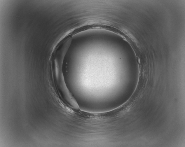 X0000071950877200607071207