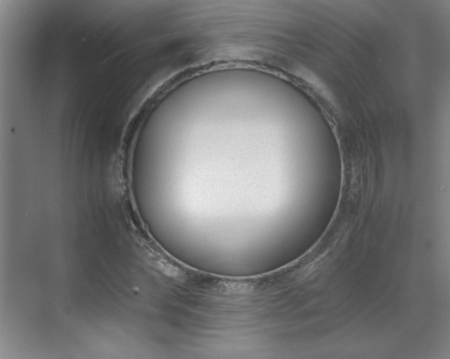 X0000071950878200607071207