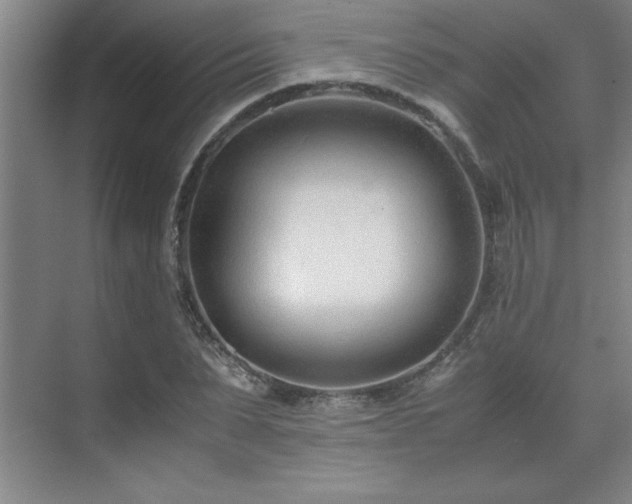 X0000071950879200607071207