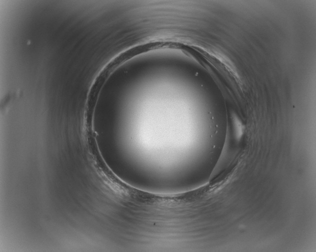 X0000071950880200607071207