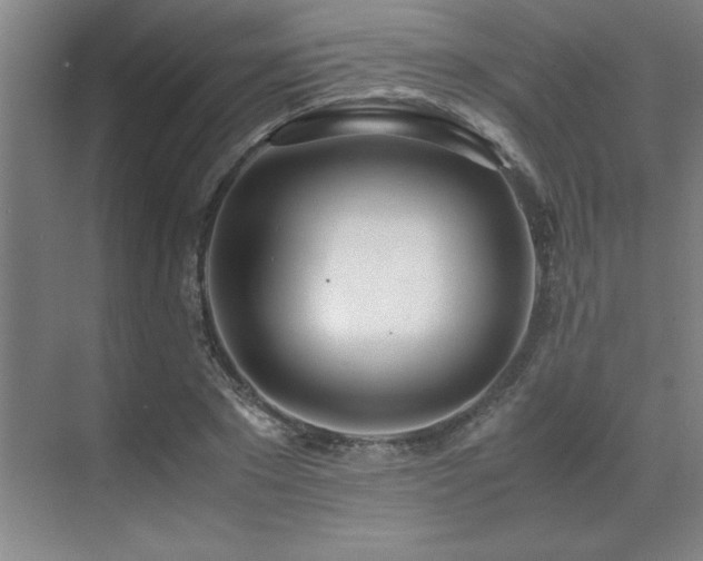 X0000071950881200607071207