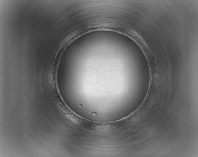 X0000071950882200607071207