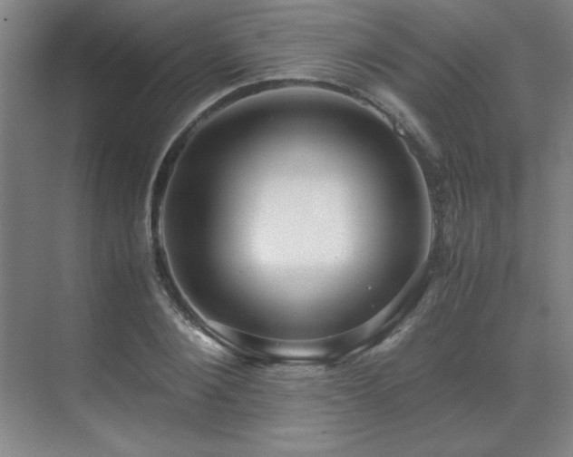 X0000071950884200607071207