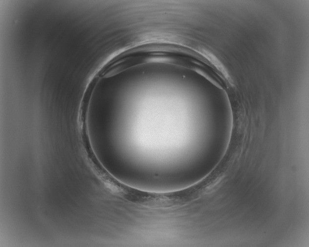 X0000071950885200607071207