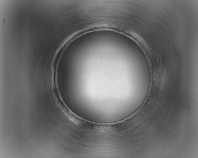 X0000071950886200607071207