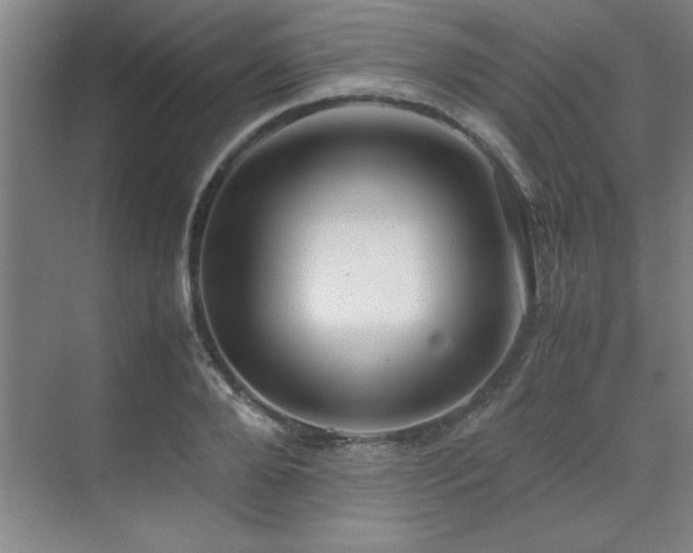 X0000071950888200607071207