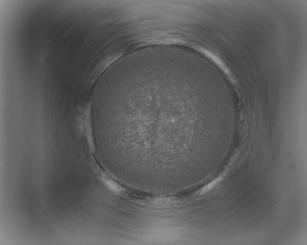 X0000071950889200607071207