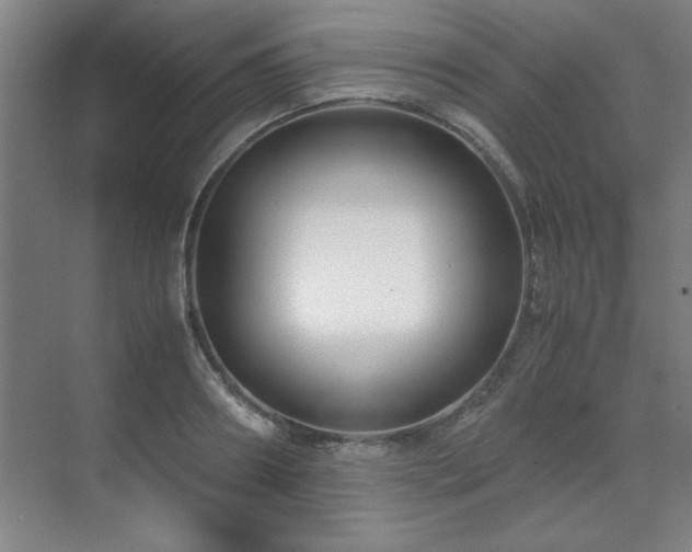 X0000071950890200607071207