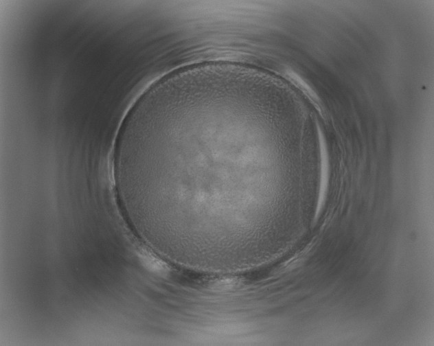 X0000071950891200607071207