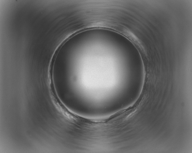 X0000071950892200607071207