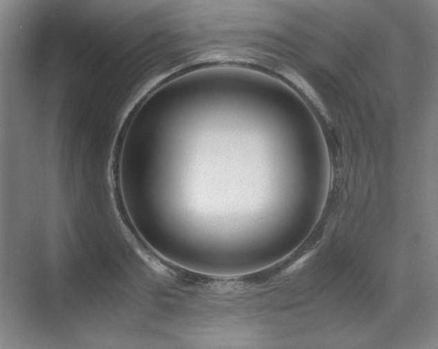 X0000071950893200607071207