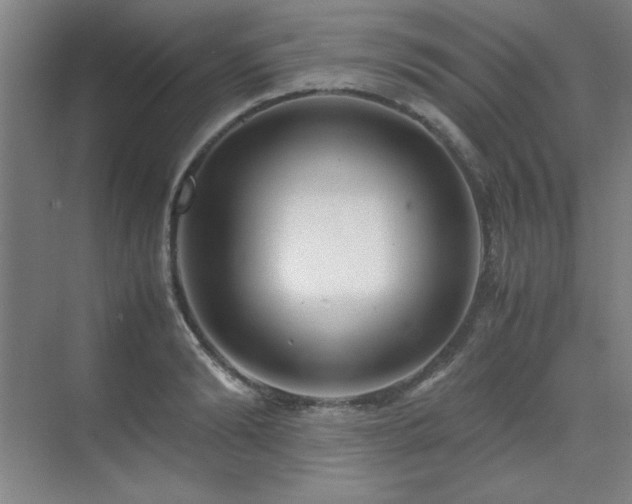 X0000071950894200607071207