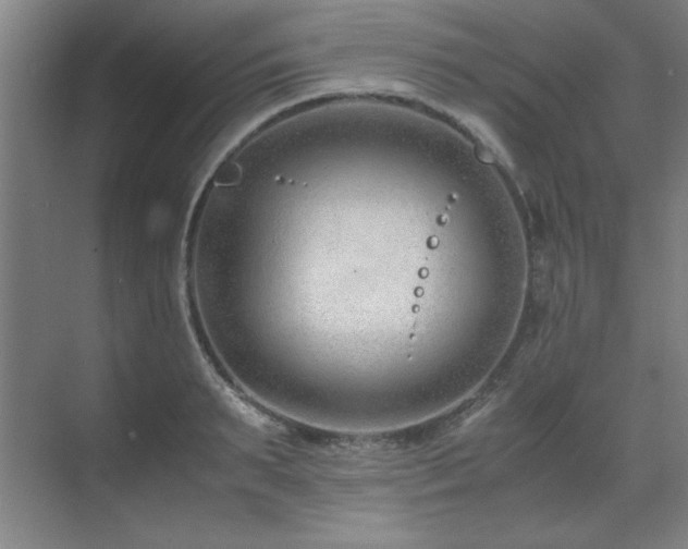 X0000071950895200607071207