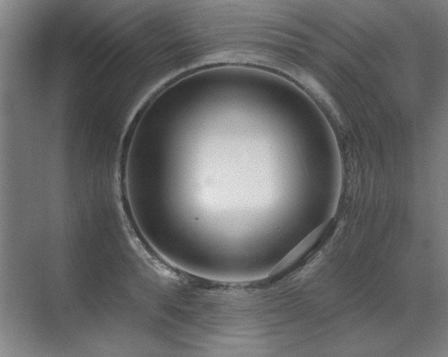 X0000071950896200607071207