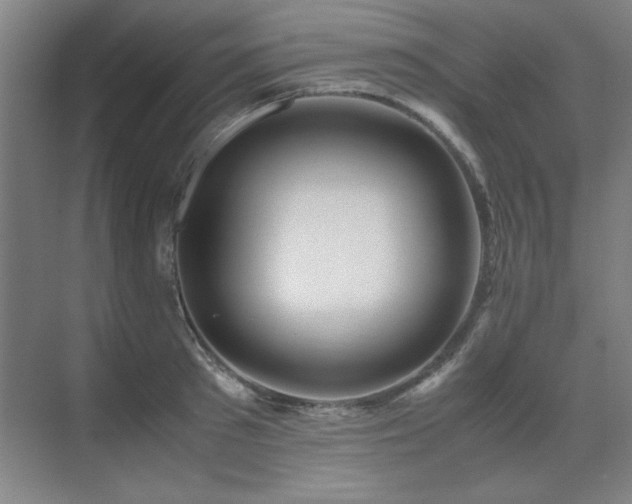 X0000071950897200607071207