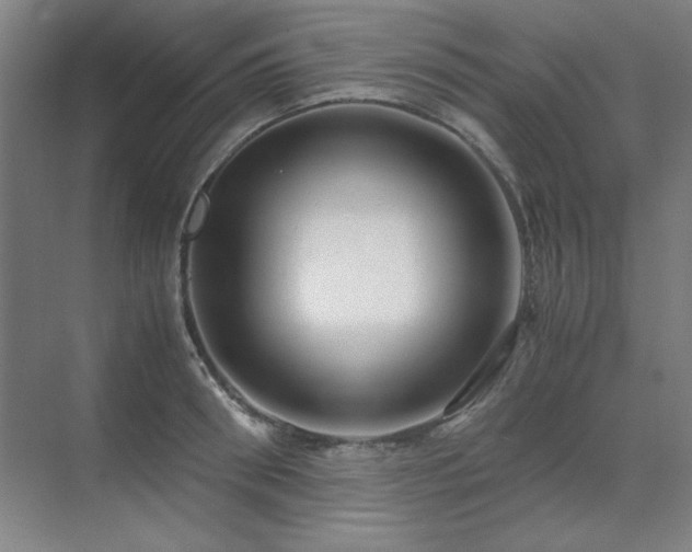 X0000071950898200607071207