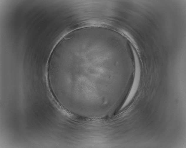 X0000071950899200607071207