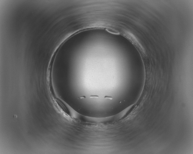 X0000071950900200607071207