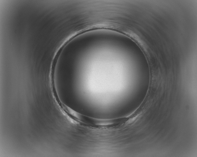 X0000071950902200607071207